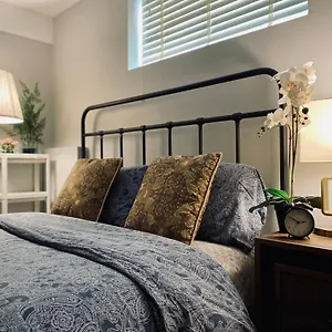 Newly Renovated Elephant Close To Banff And Business Center Villa Calgary
